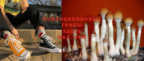мдпв Баксан