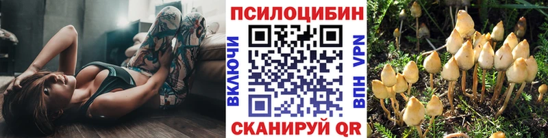 магазин Людиново Галлюциногенные грибы мухоморы